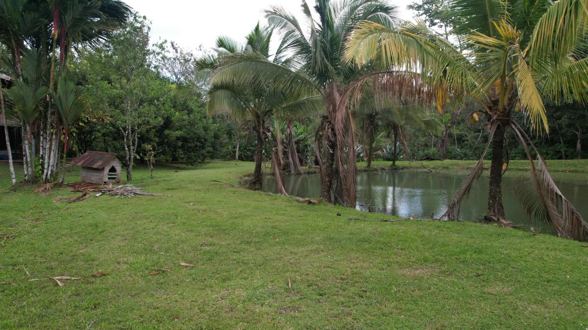 Stunning 6.4-Acre Lakefront Estate with Tourism Potential in La Palmera