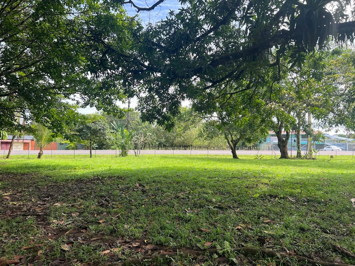 Terreno Comercial en Muelle de San Carlos: Gran Frente y Plusvalía