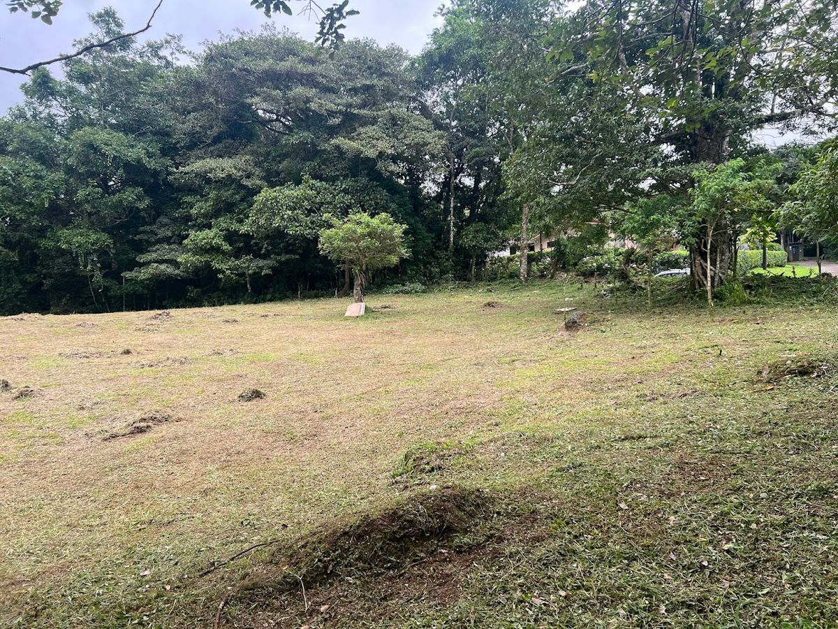 3,000 sqm Flat Lot in San Gerardo: Nature & Investment Opportunity
