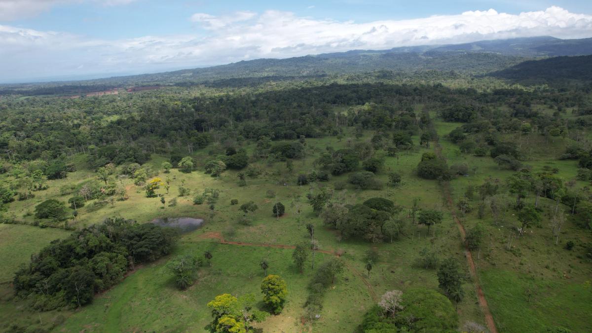Fully Operational Livestock Development in Cuatro Esquinas