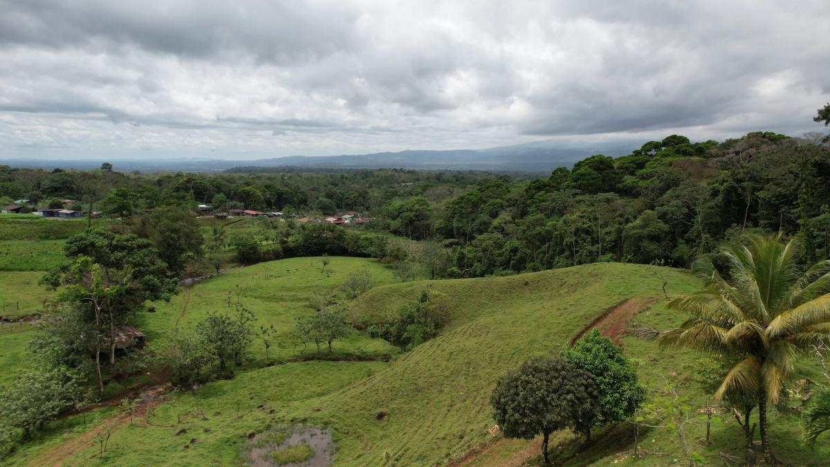 Finca Turística y Agropecuaria en San Carlos: Con Nacientes y Ríos