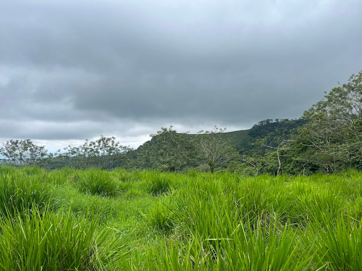 3,000 sqm Flat Lot in San Gerardo: Nature & Investment Opportunity