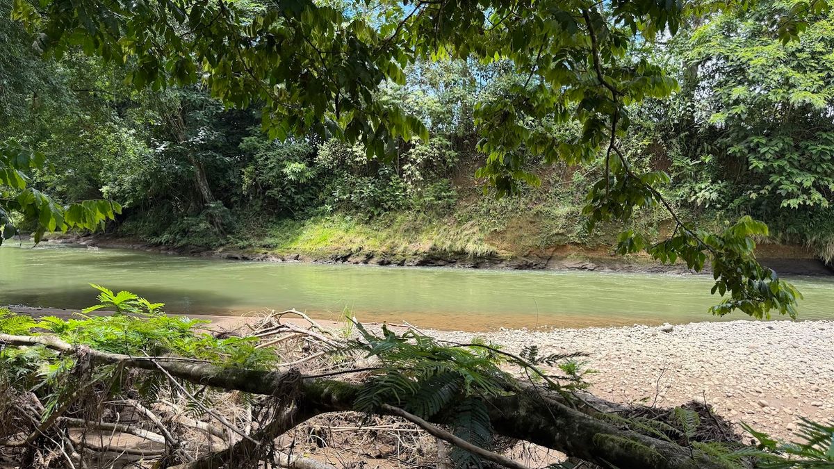 2-Hectare Farm in La Perla, La Fortuna: Commercial Frontage & Peñas Blancas River