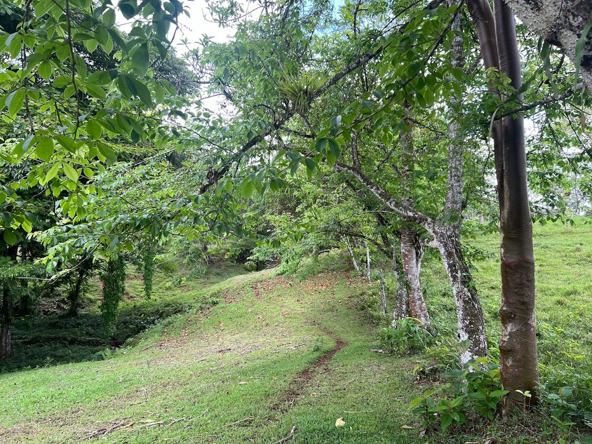4,036 sqm Versatile Rural Lot in San Jorge de Cutris, San Carlos