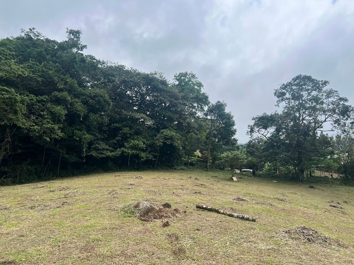 3,000 sqm Flat Lot in San Gerardo: Nature & Investment Opportunity
