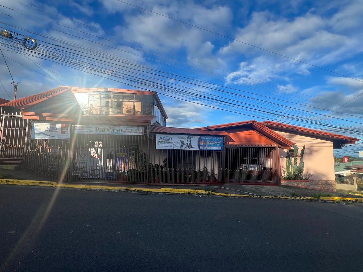 Prime Commercial Property in Downtown Ciudad Quesada: High-Yield Investment