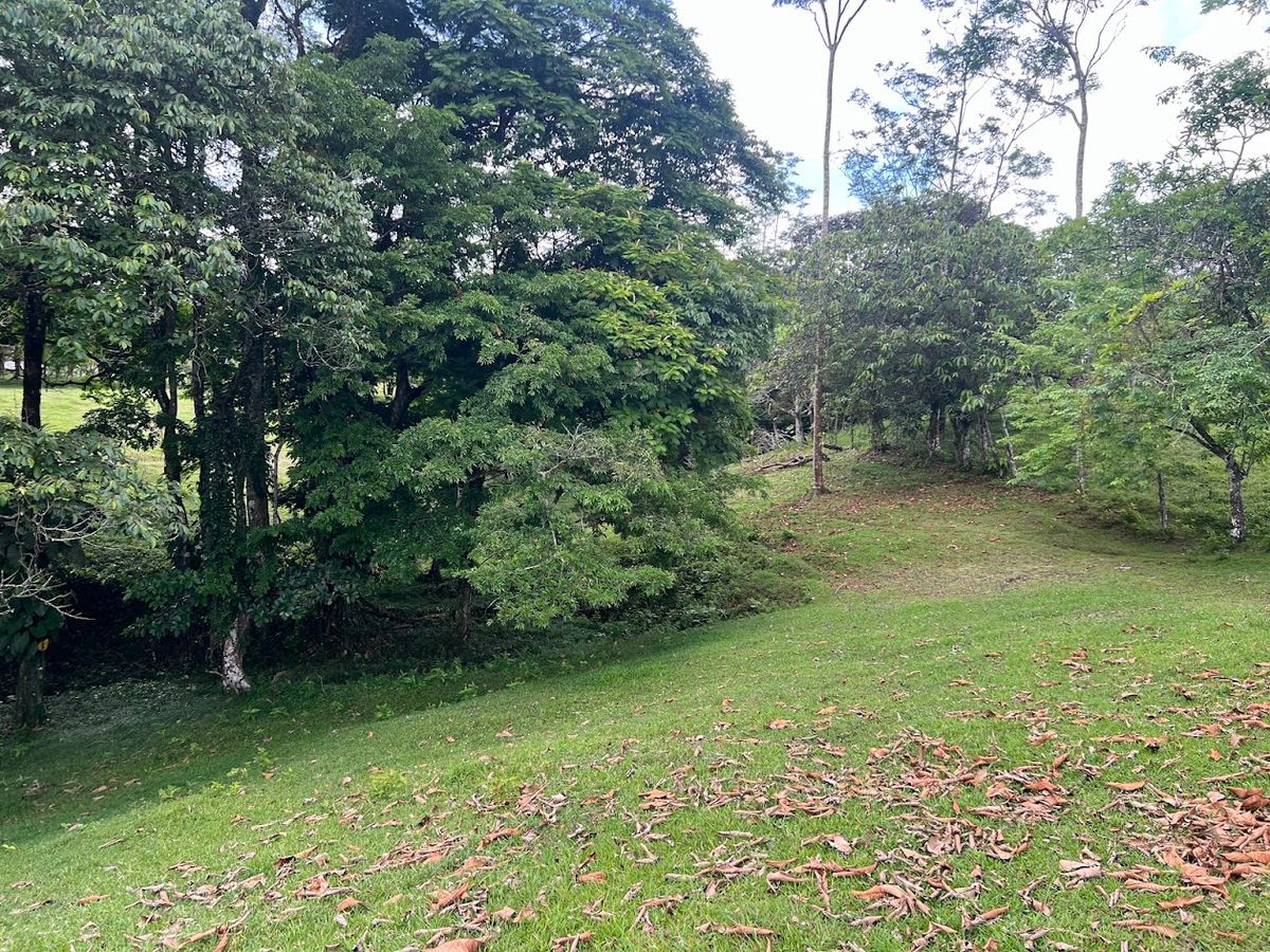 4,036 sqm Versatile Rural Lot in San Jorge de Cutris, San Carlos