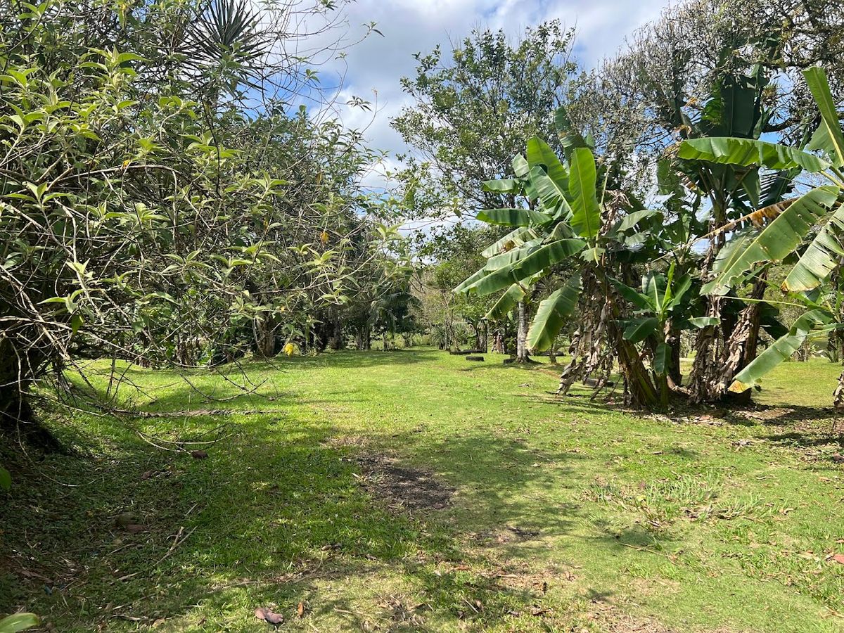 Stunning 6.4-Acre Lakefront Estate with Tourism Potential in La Palmera
