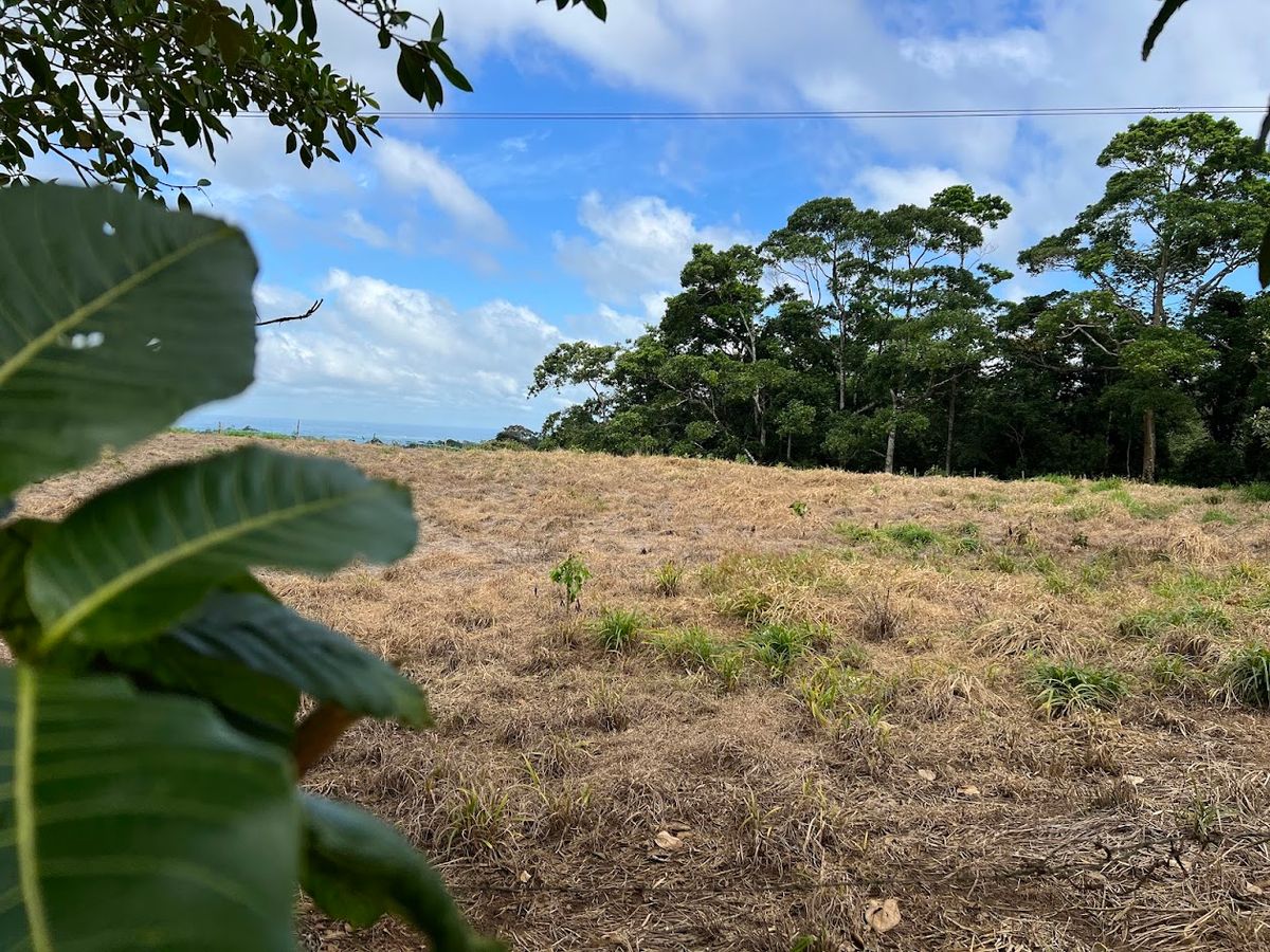 Lotes con precio de Oportunidad en Ciudad Quesada: en Puente Casa