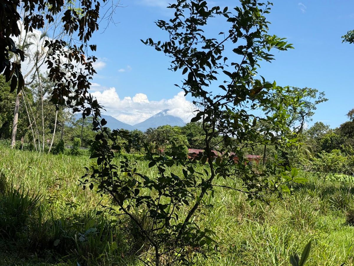 3.6-Hectare Livestock & Commercial Farm in La Vega: Main Road Frontage