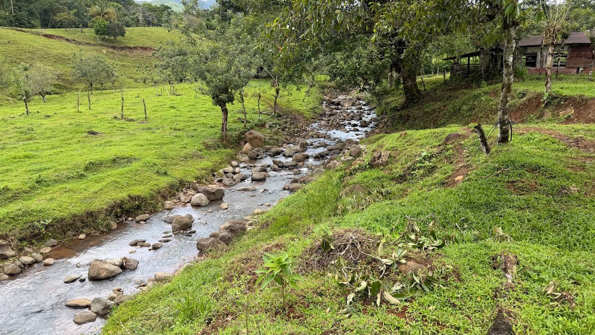Finca Turística y Agropecuaria en San Carlos: Con Nacientes y Ríos