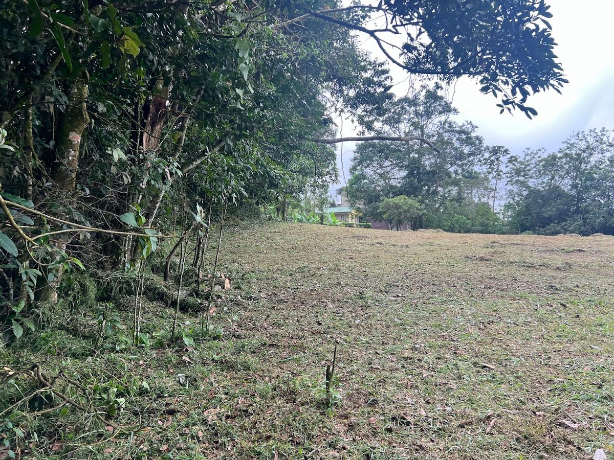 3,000 sqm Flat Lot in San Gerardo: Nature & Investment Opportunity