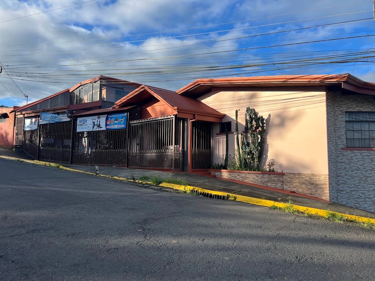 Prime Commercial Property in Downtown Ciudad Quesada: High-Yield Investment