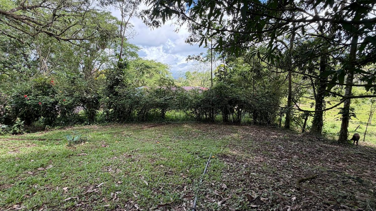 Fully Operational Livestock Development in Cuatro Esquinas