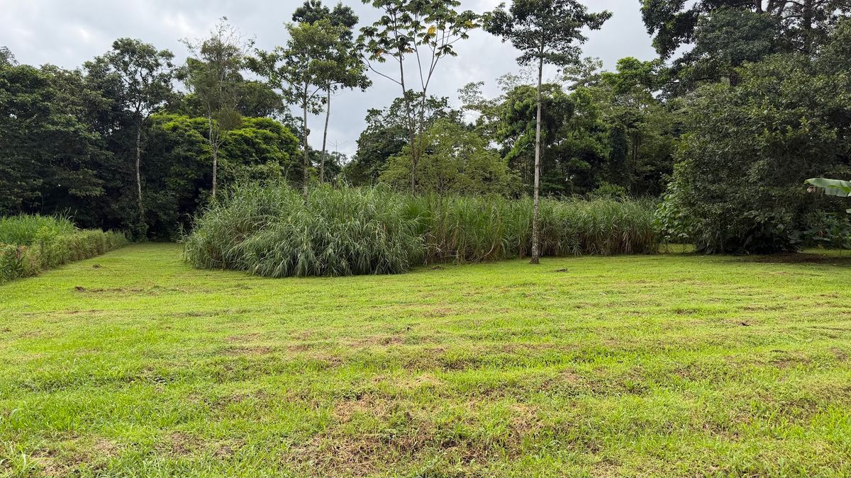 Land for Country Home in La Tigra, San Carlos: Bordering River