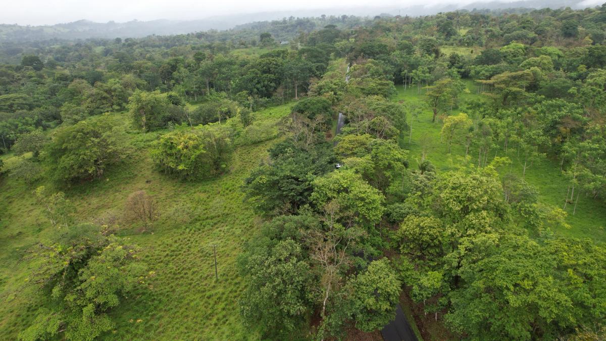 Finca Ganadera entre Upala y Bijagua: Dividida por Vía Nacional