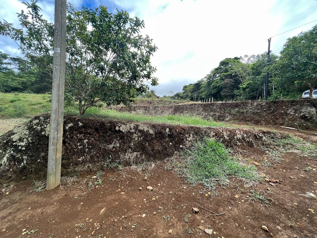 Lotes en La Isla de Ciudad Quesada: Aptos para bonocrédito