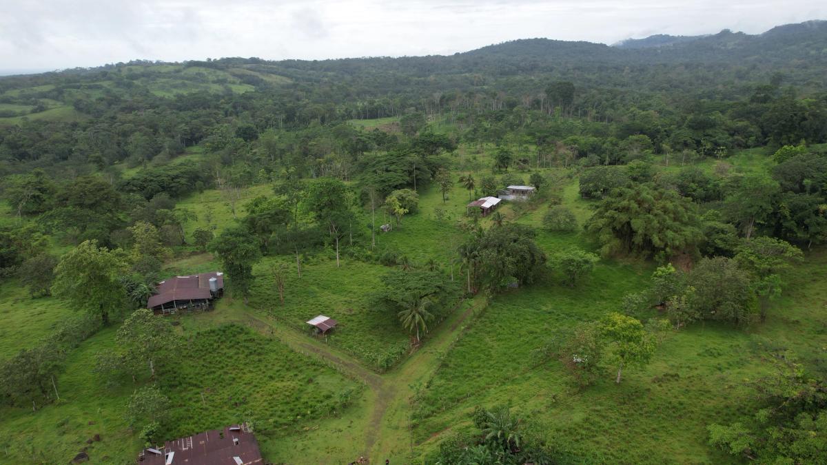 Finca Ganadera entre Upala y Bijagua: Dividida por Vía Nacional