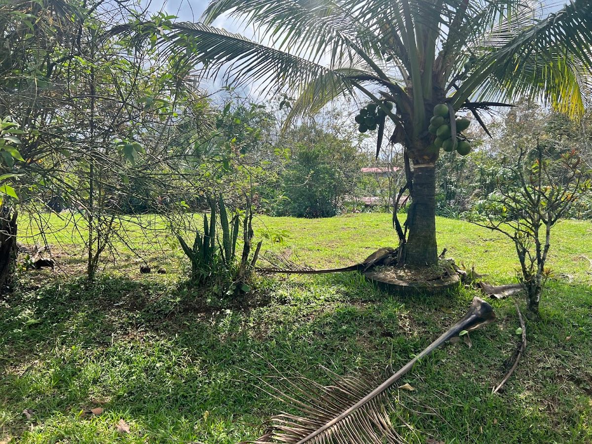 Stunning 6.4-Acre Lakefront Estate with Tourism Potential in La Palmera