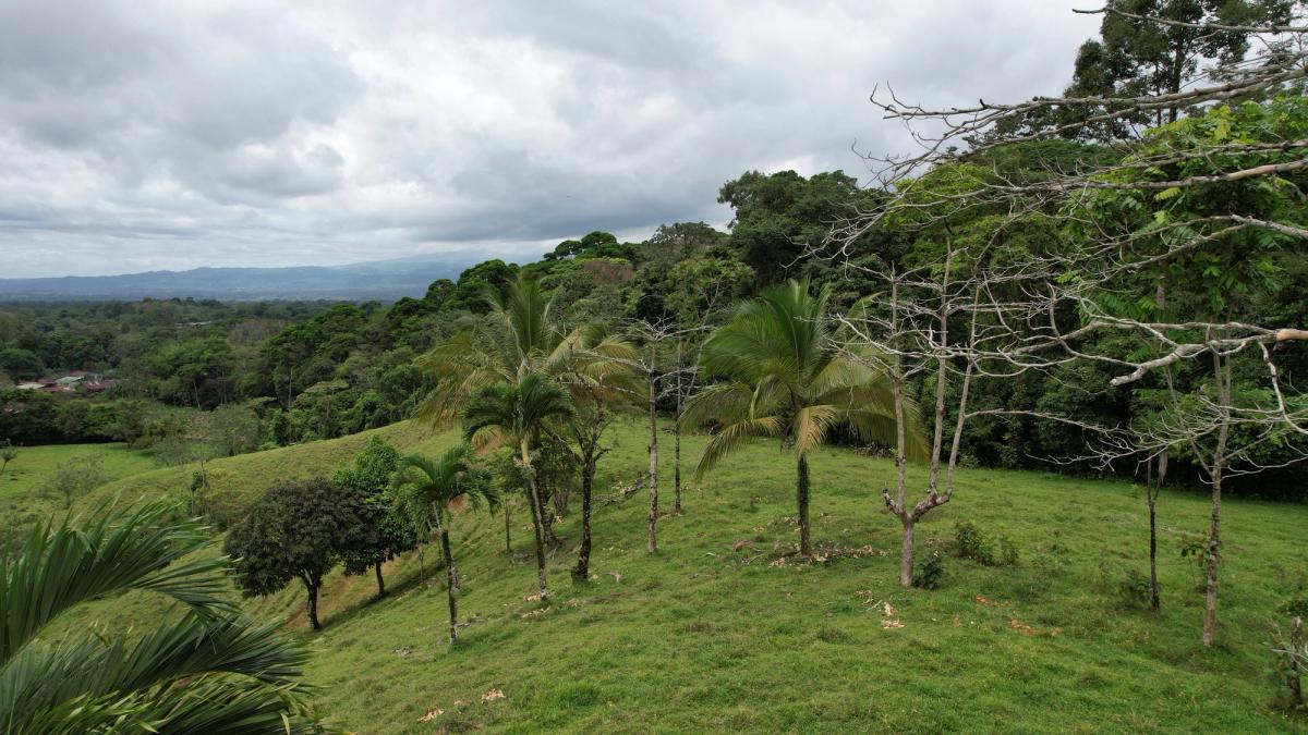 Finca Turística y Agropecuaria en San Carlos: Con Nacientes y Ríos