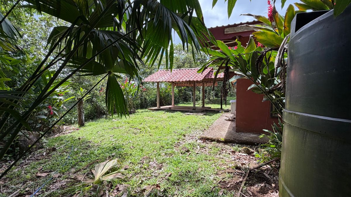 Fully Operational Livestock Development in Cuatro Esquinas