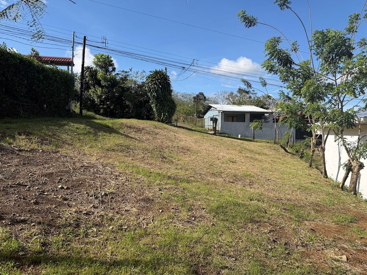 Lote pequeño en la Tesalia de San Carlos: Apto para crédito con bono