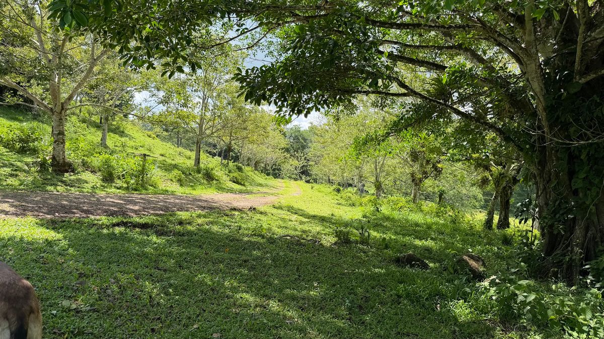 Fully Operational Livestock Development in Cuatro Esquinas