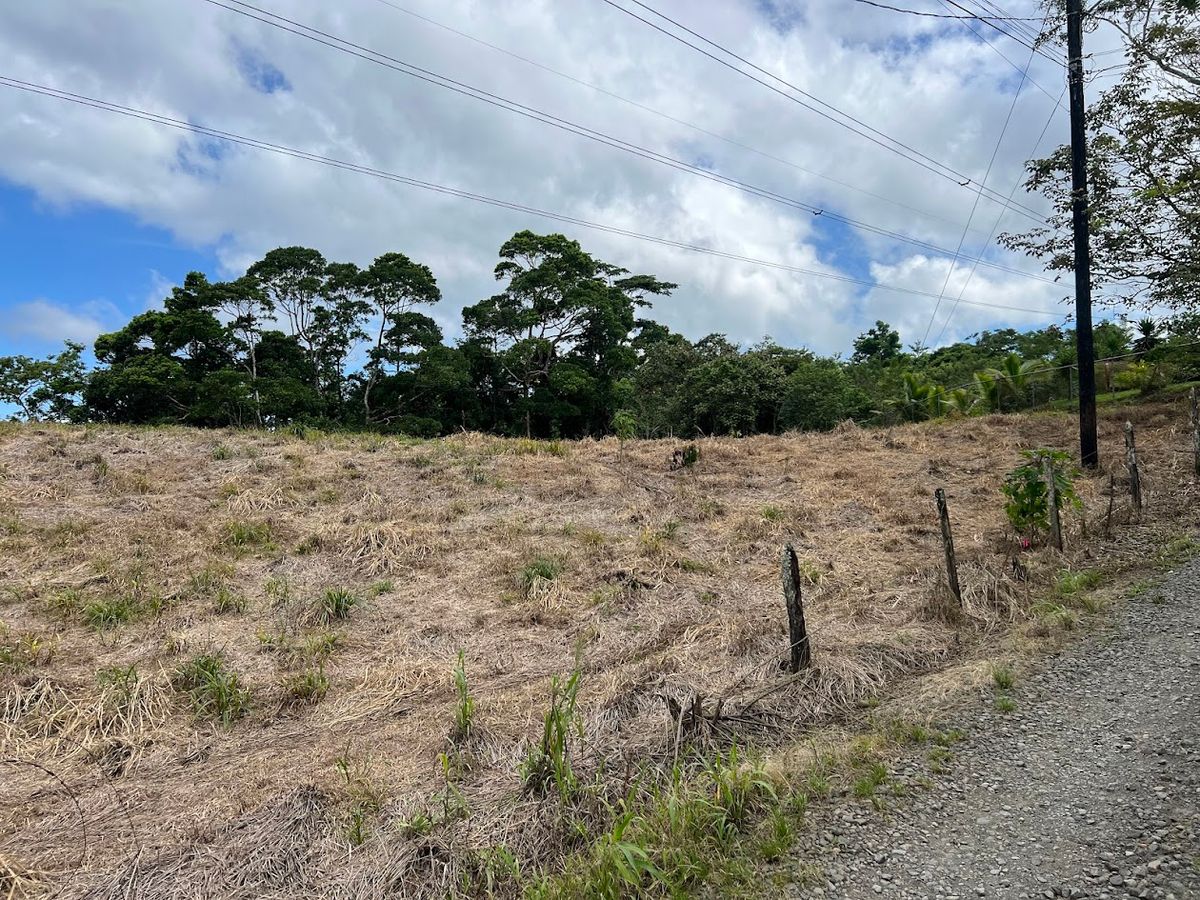 Lotes con precio de Oportunidad en Ciudad Quesada: en Puente Casa