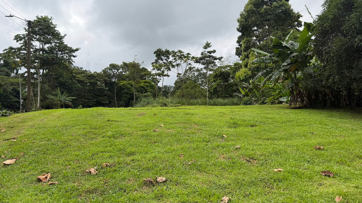 Land for Country Home in La Tigra, San Carlos: Bordering River