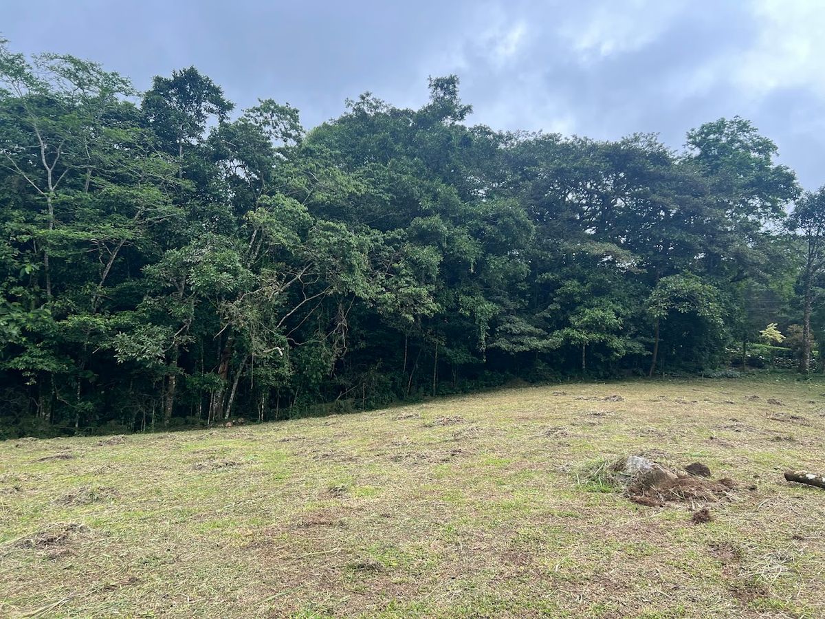 3,000 sqm Flat Lot in San Gerardo: Nature & Investment Opportunity