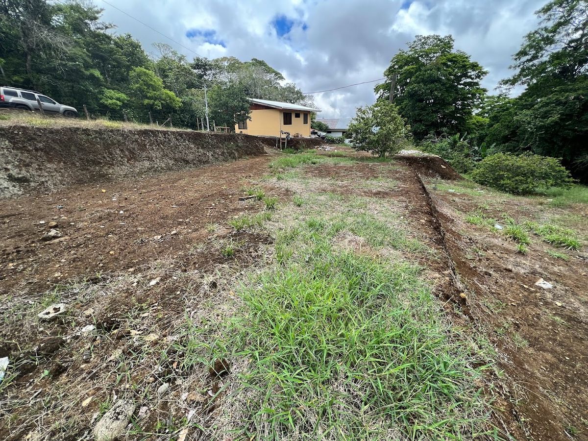 Lotes en La Isla de Ciudad Quesada: Aptos para bonocrédito