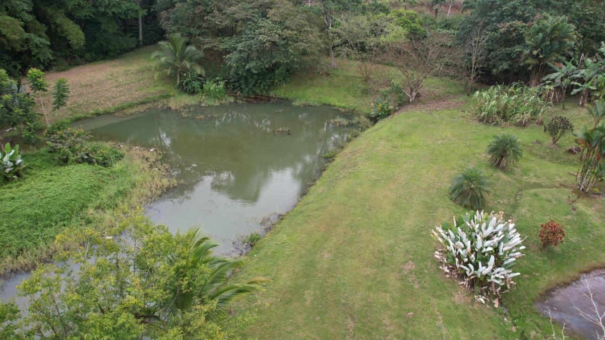 Stunning 6.4-Acre Lakefront Estate with Tourism Potential in La Palmera