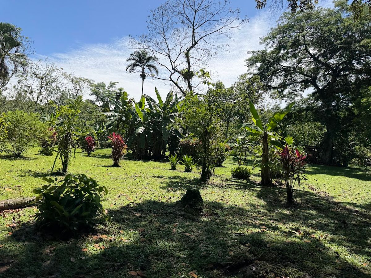 3.6-Hectare Livestock & Commercial Farm in La Vega: Main Road Frontage