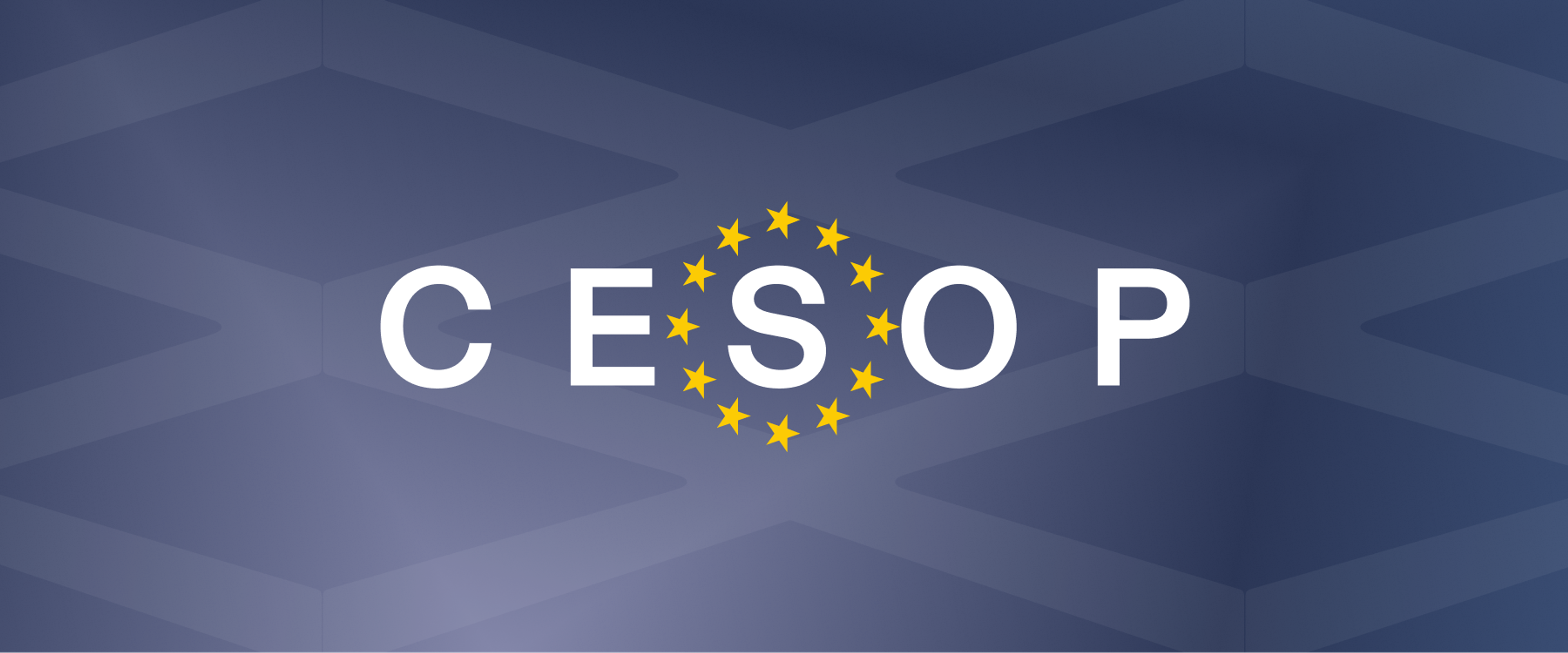 CESOP Reporting: PSP & SaaS VAT Compliance Guide