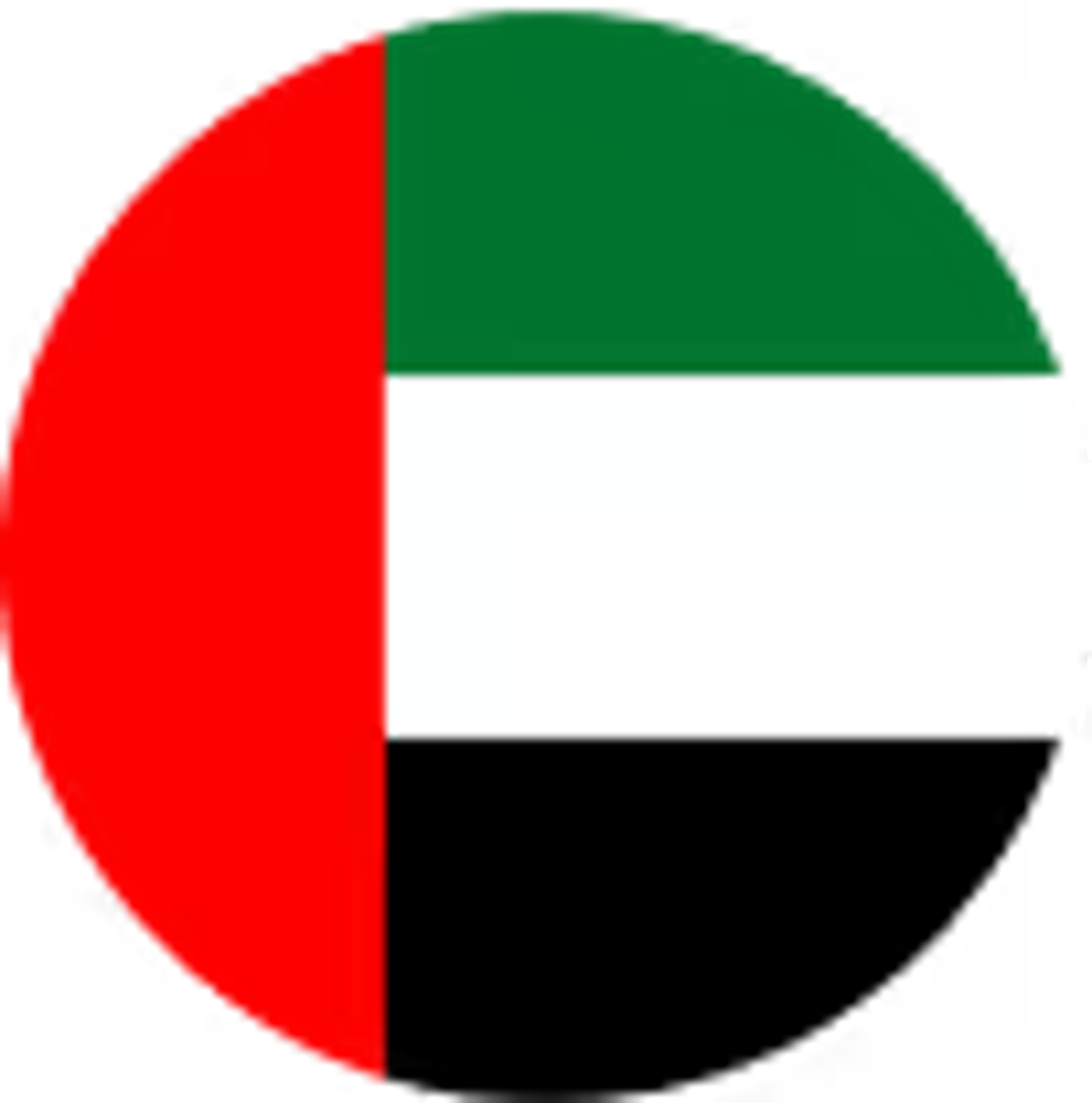 United Arab Emirates flag