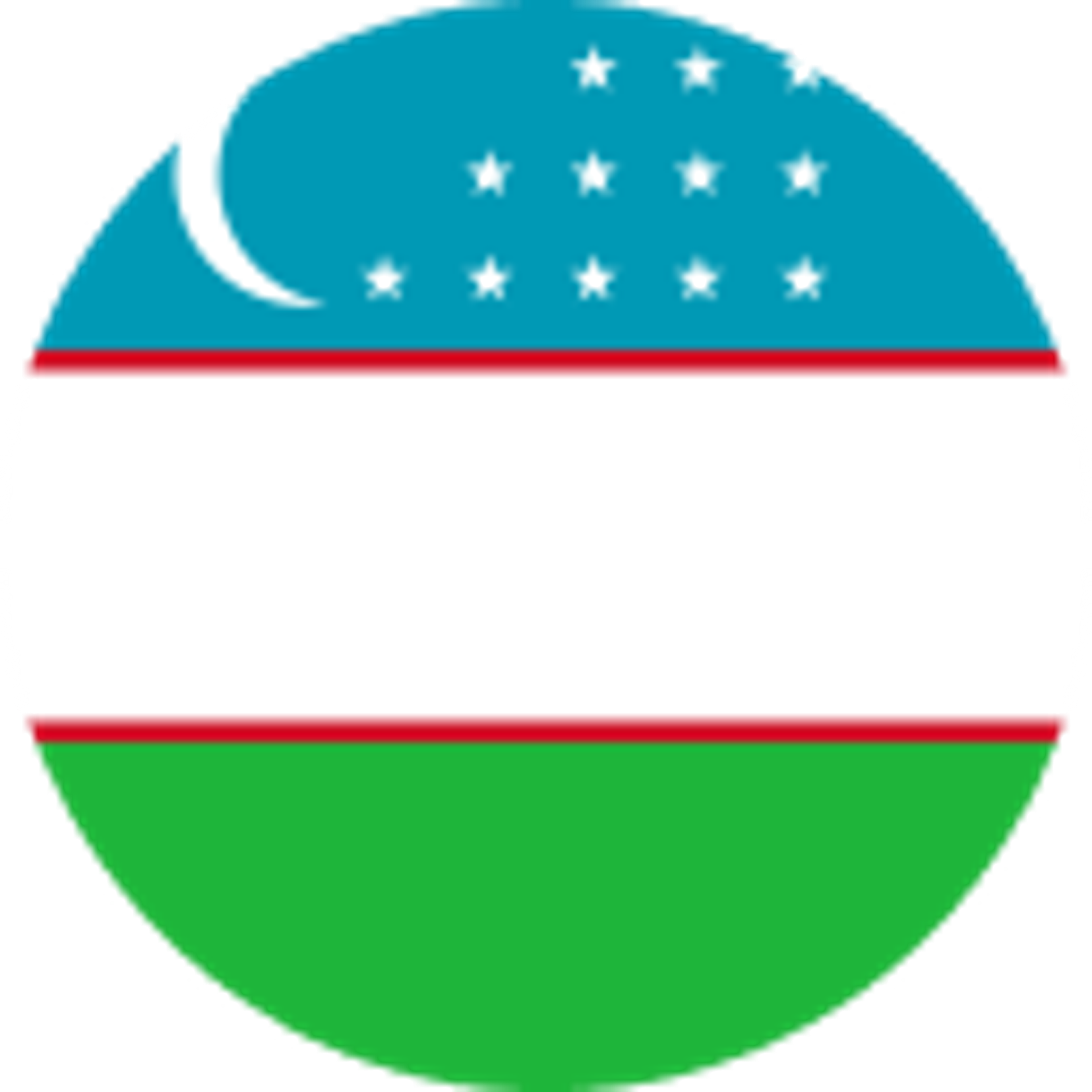 Uzbekistan flag