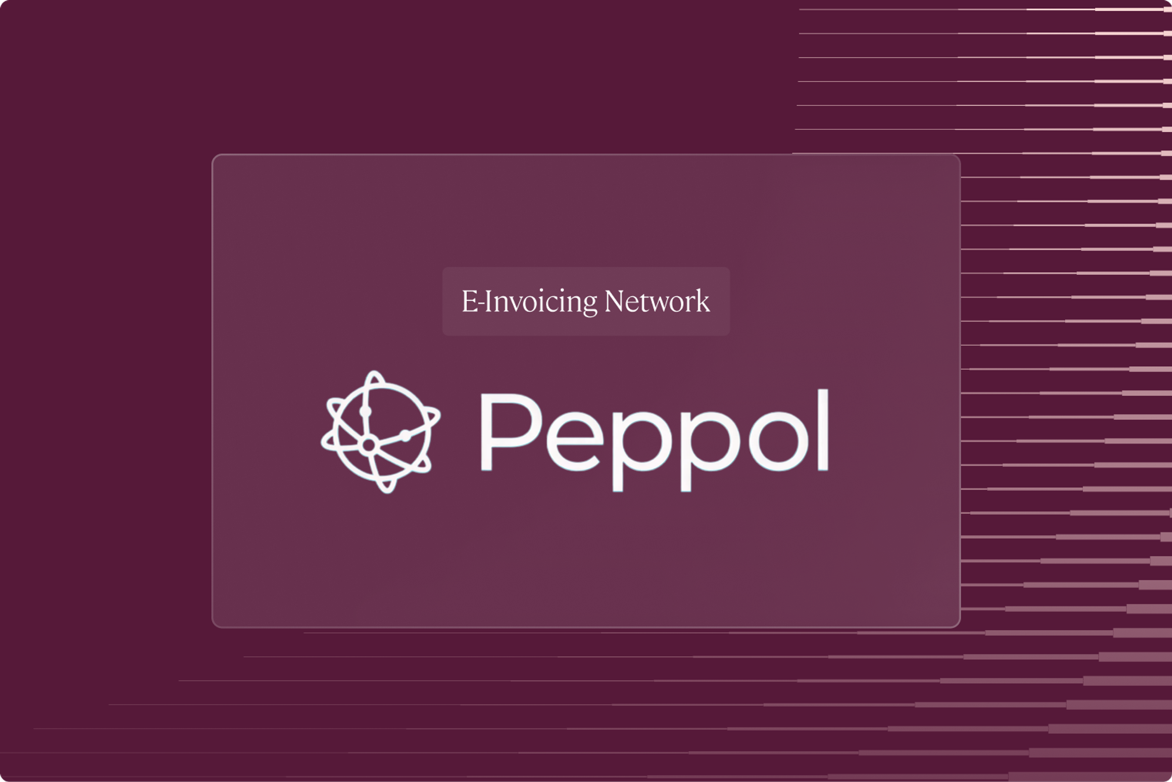 Peppol E-Invoicing Network Compliance Guide