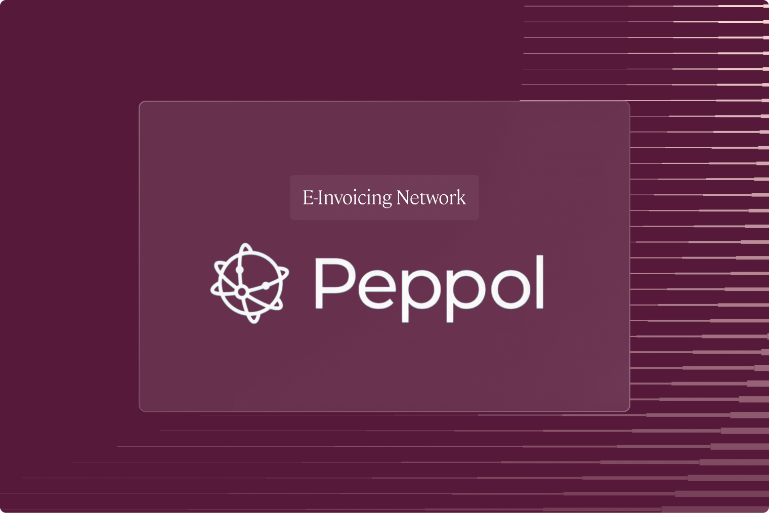 Peppol E-Invoicing Network Compliance Guide