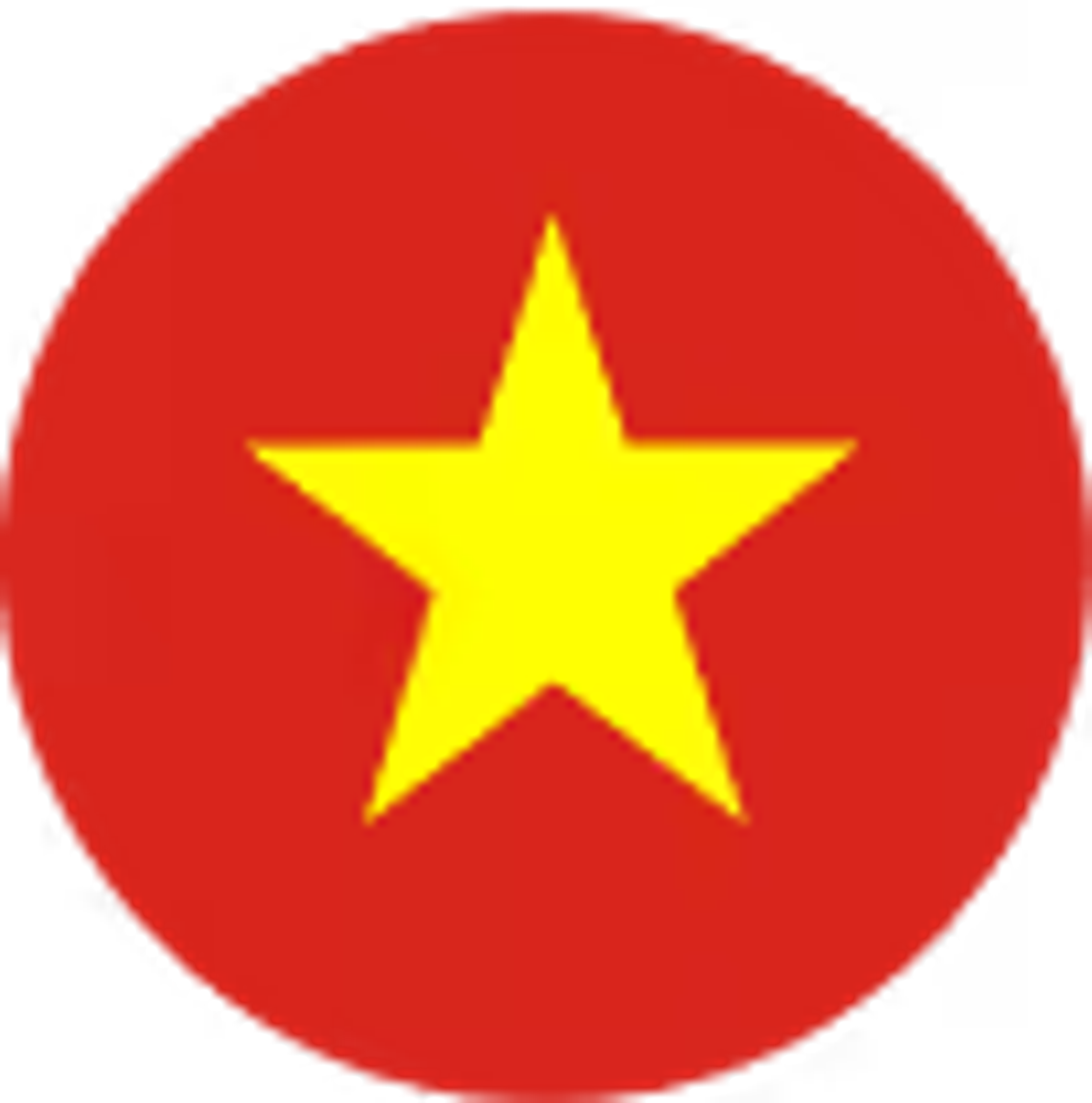Vietnam flag