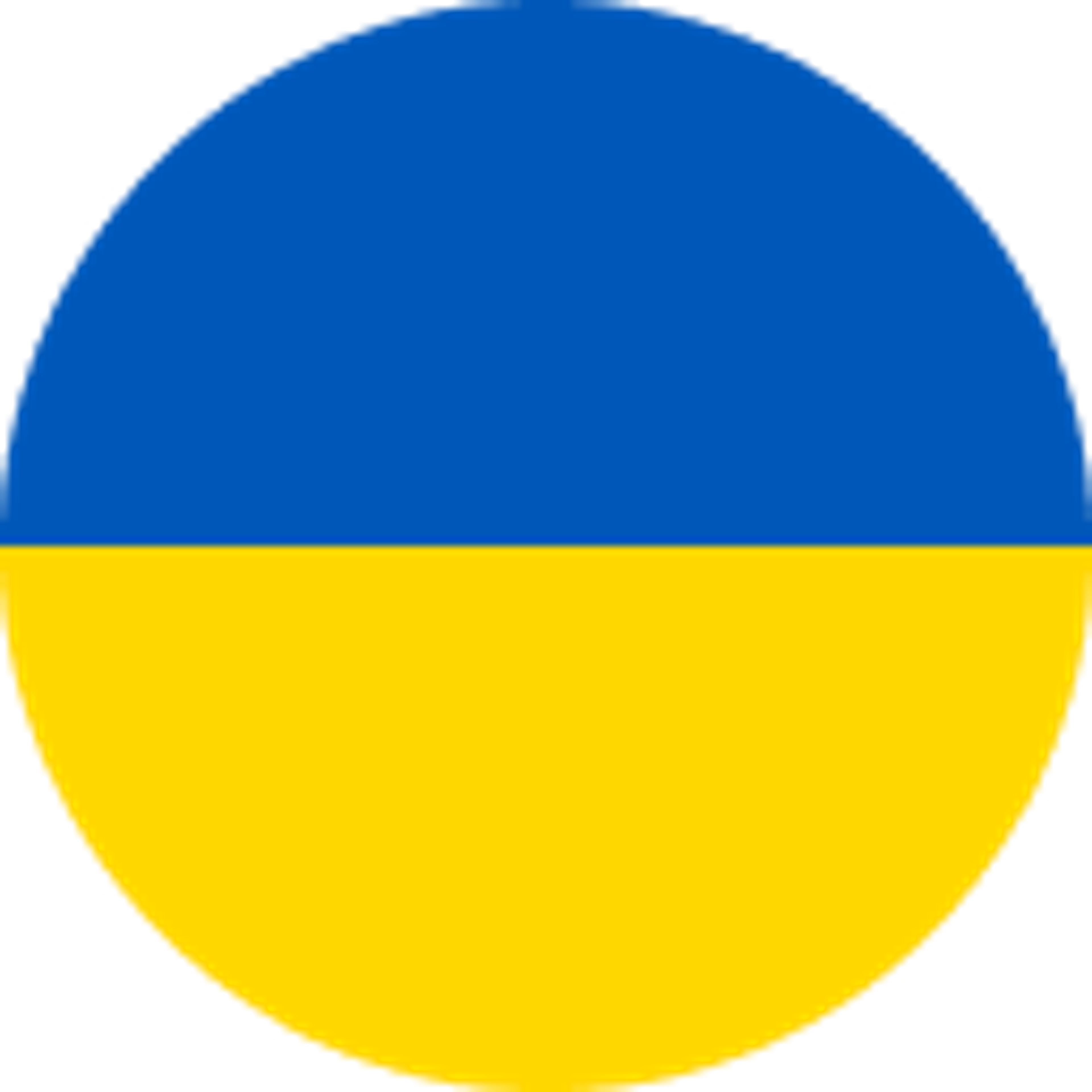 Ukraine flag