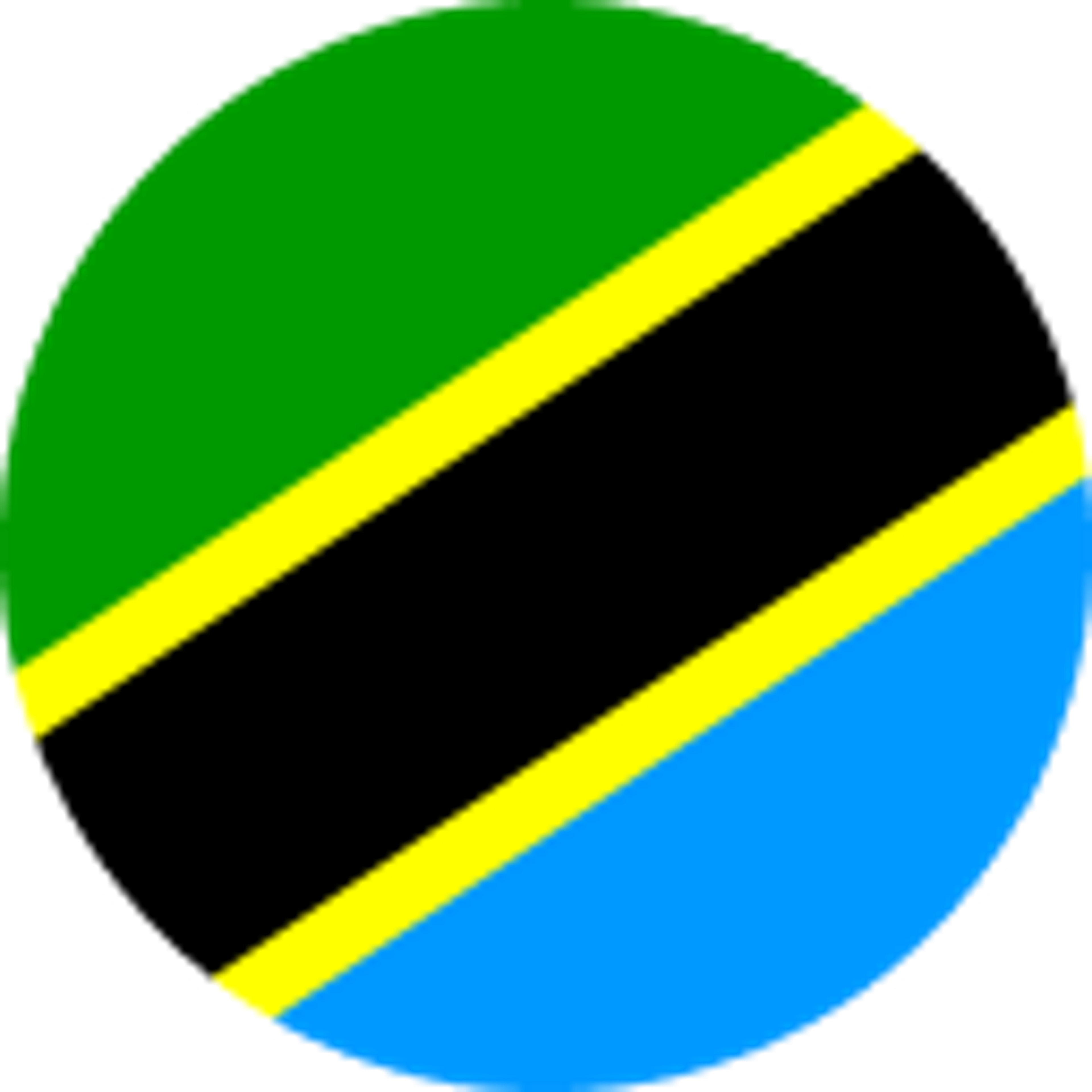 Tanzania flag