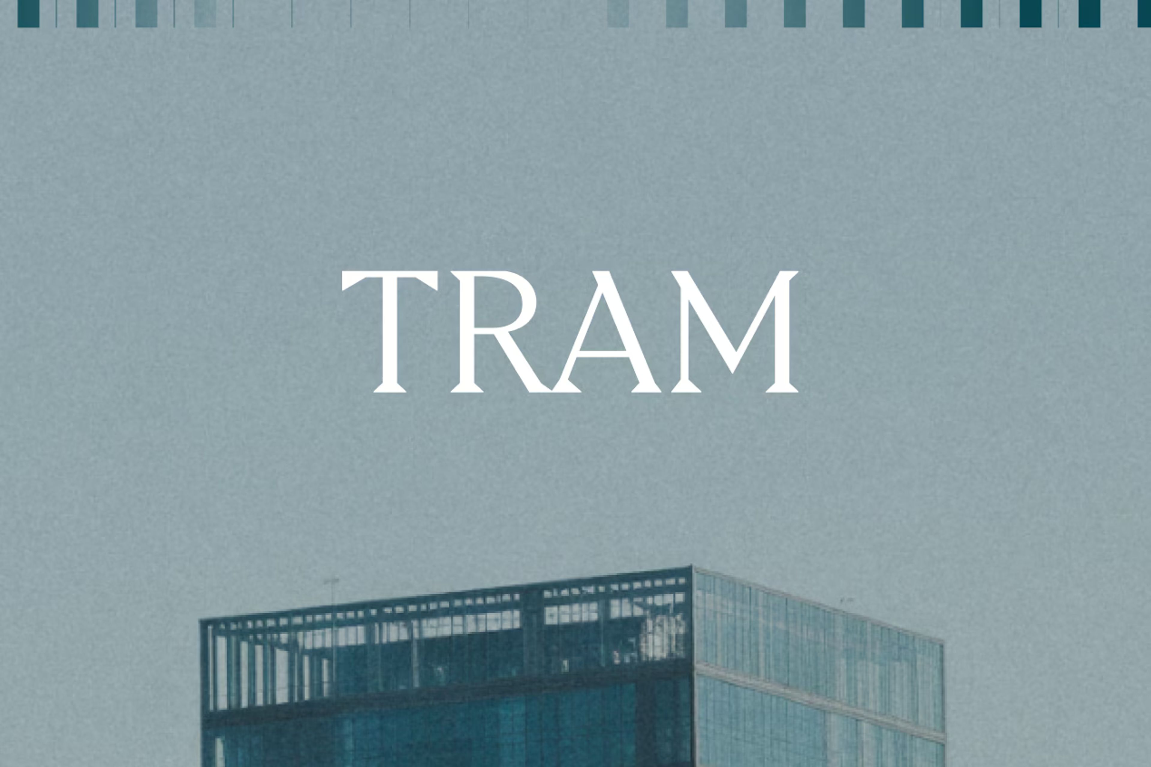 Building TRAM | The World’s First Tax Review and Assessment Model
