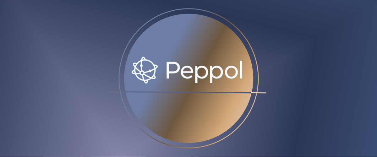Peppol E-Invoicing Network Compliance Guide