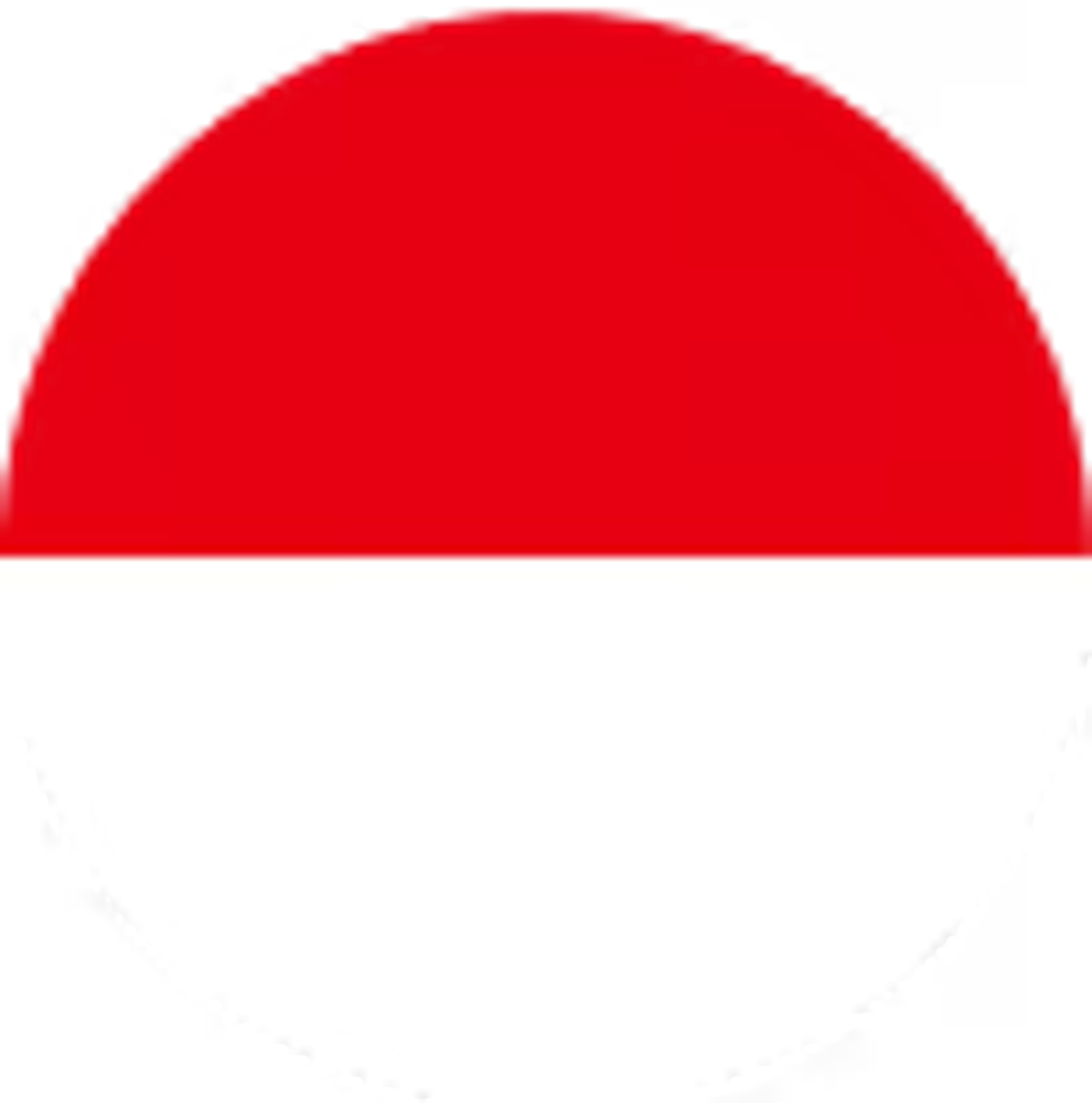 Indonesia flag