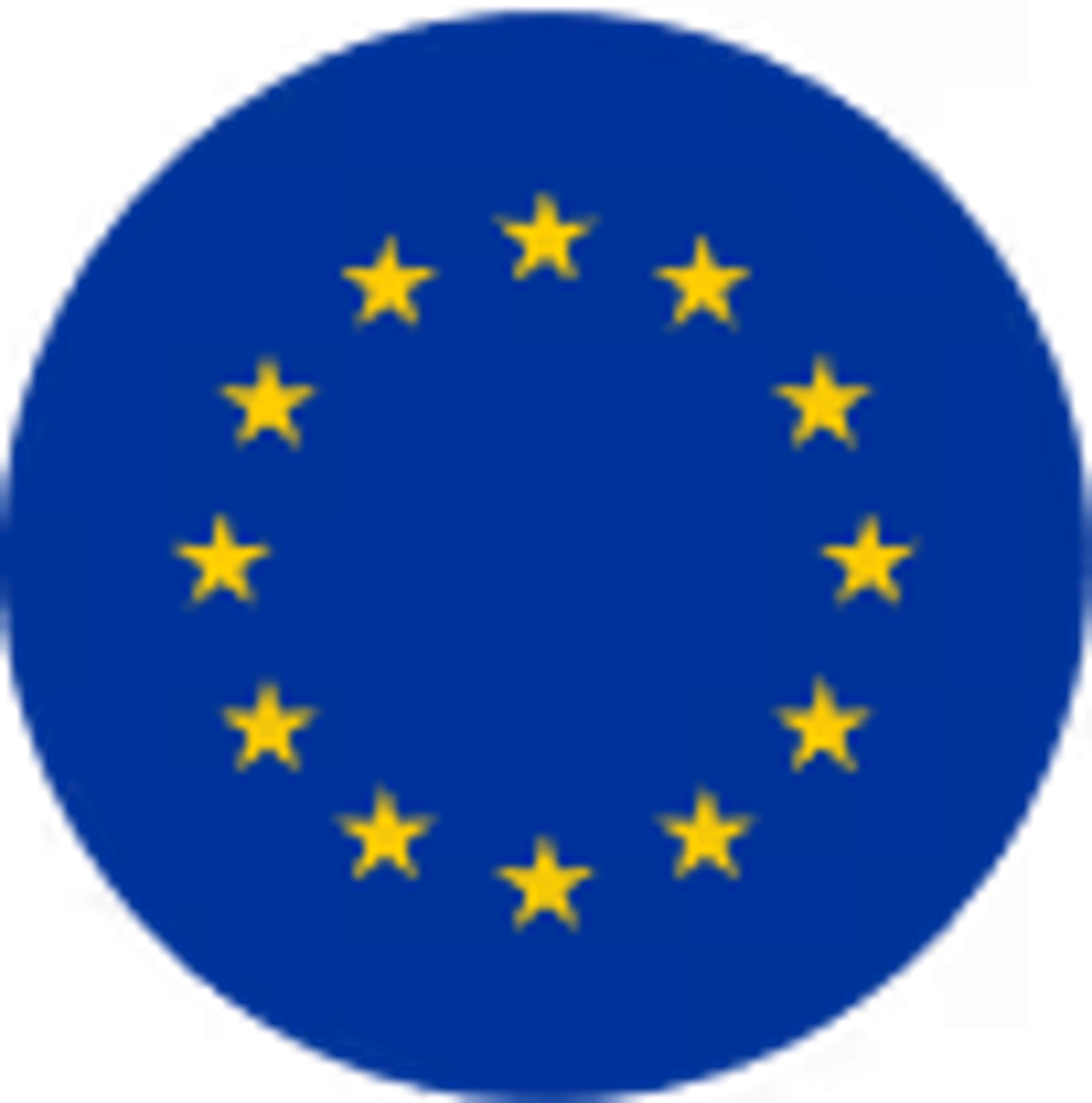 European Union flag