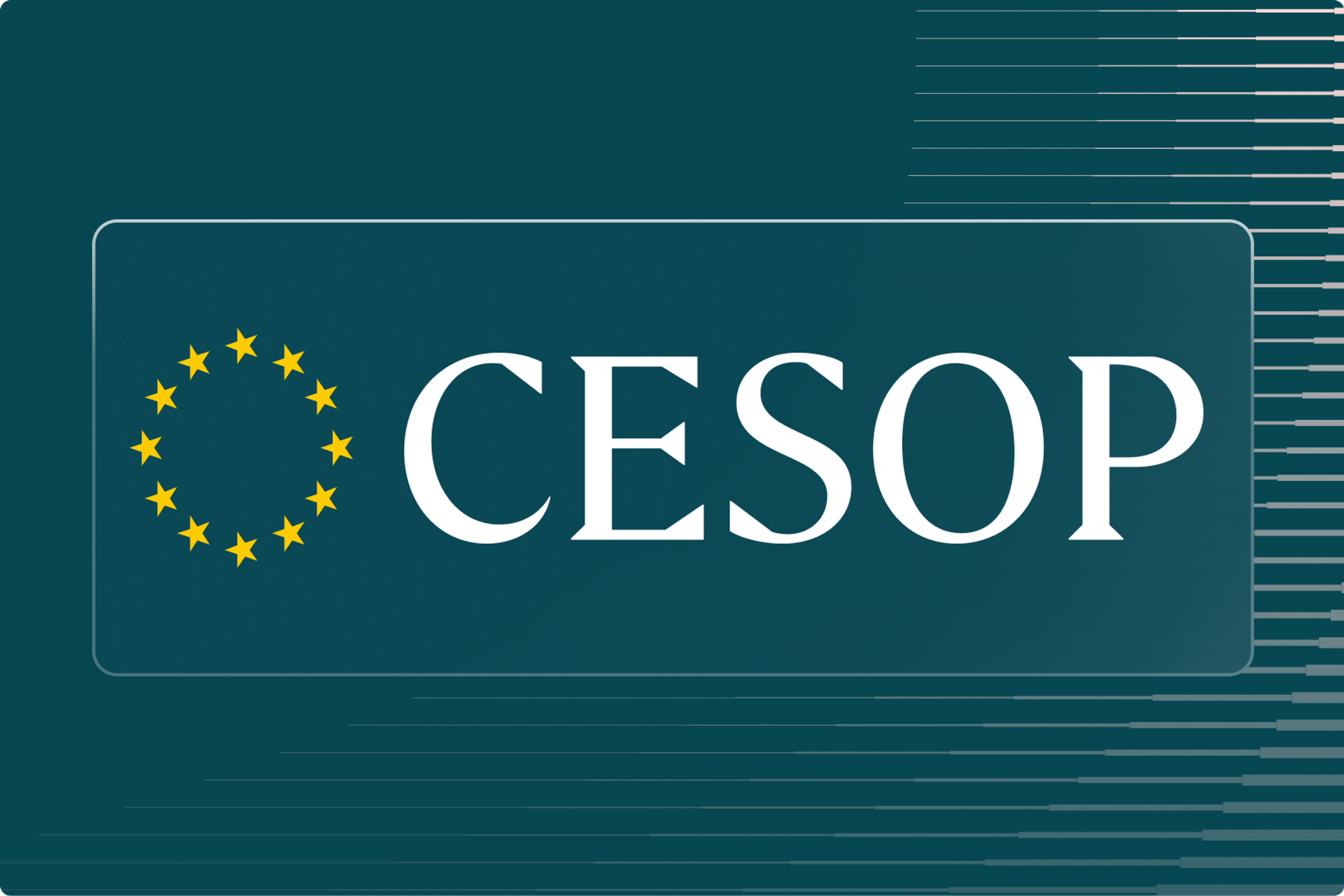 CESOP Reporting: PSP & SaaS VAT Compliance Guide