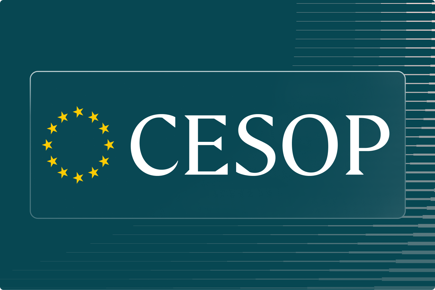 CESOP Reporting: PSP & SaaS VAT Compliance Guide