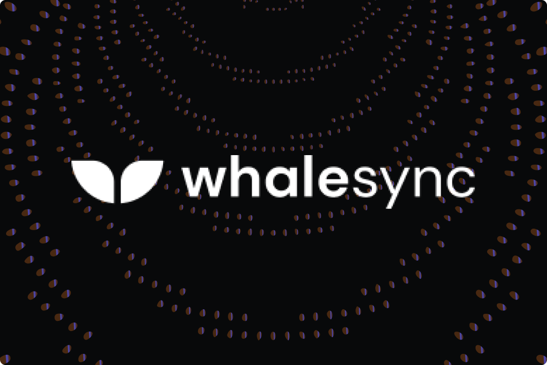 Whalesync logo