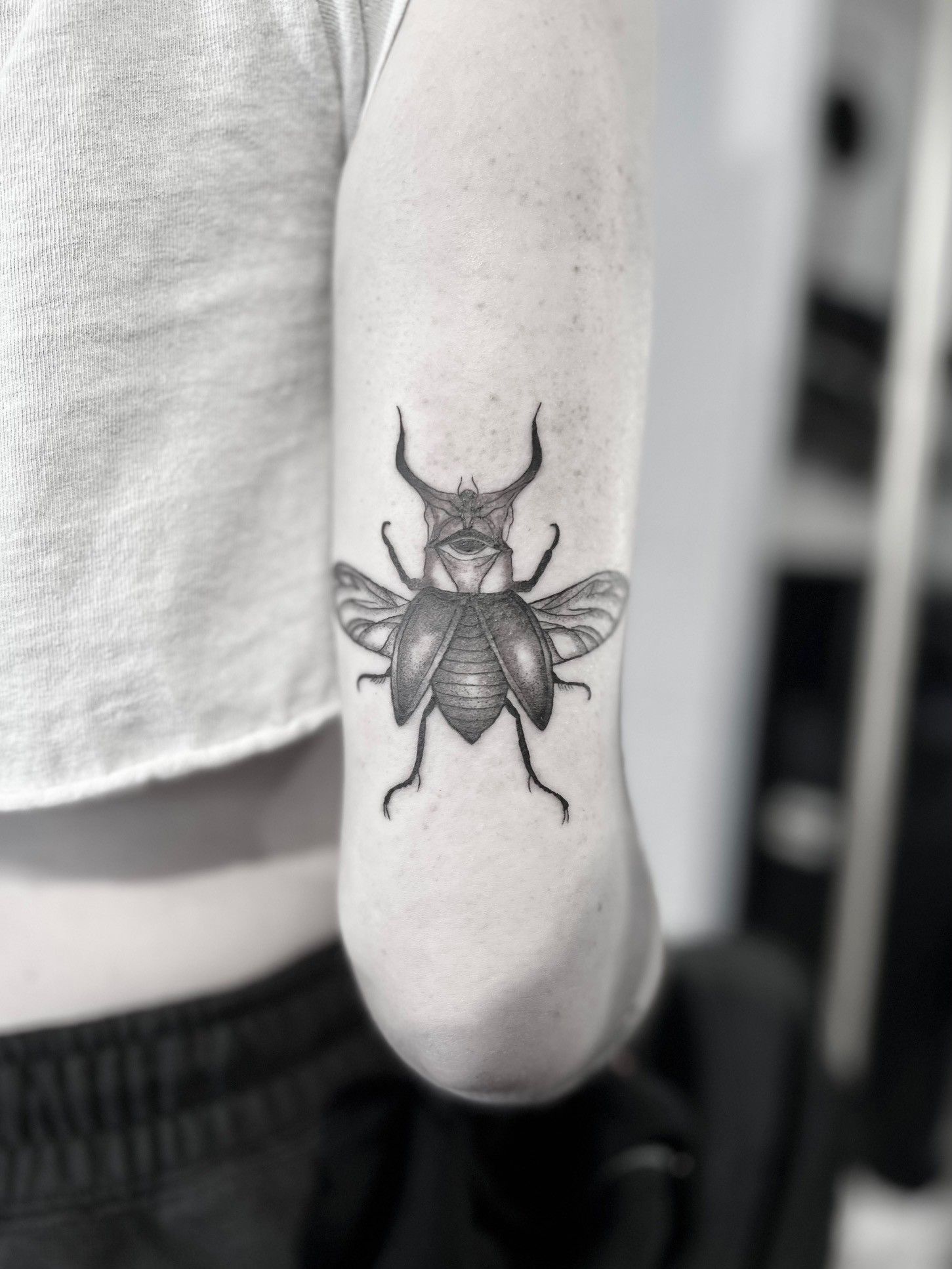 Hercules beetle 🪲 License no. 106966 ——————————————————— #tattoo #ink  #sydney #bodyart #blackandgrey #tattoodesign #sydneytattooartists … |  Instagram