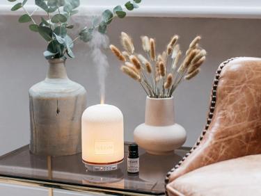 NEOM, IDHL